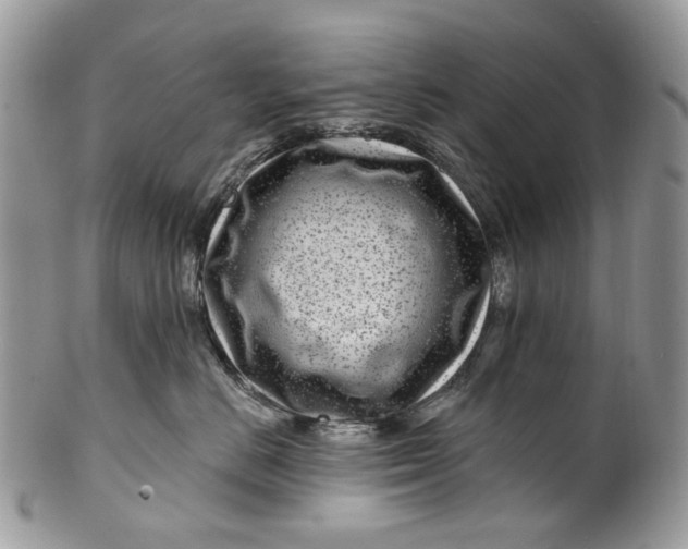 X0000099960670200806131511