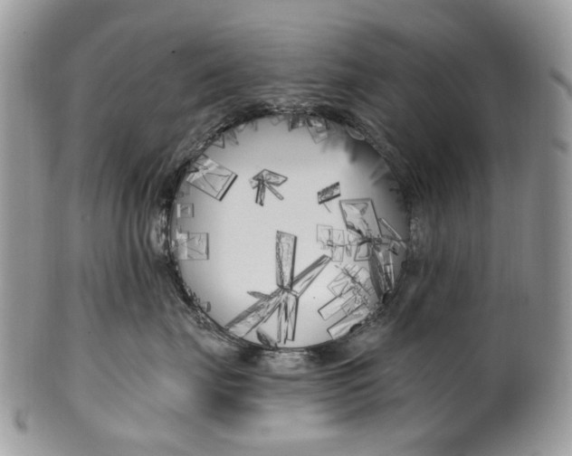 X0000099960671200806131511