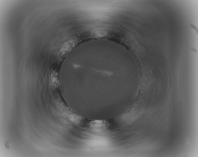 X0000099960672200806131511