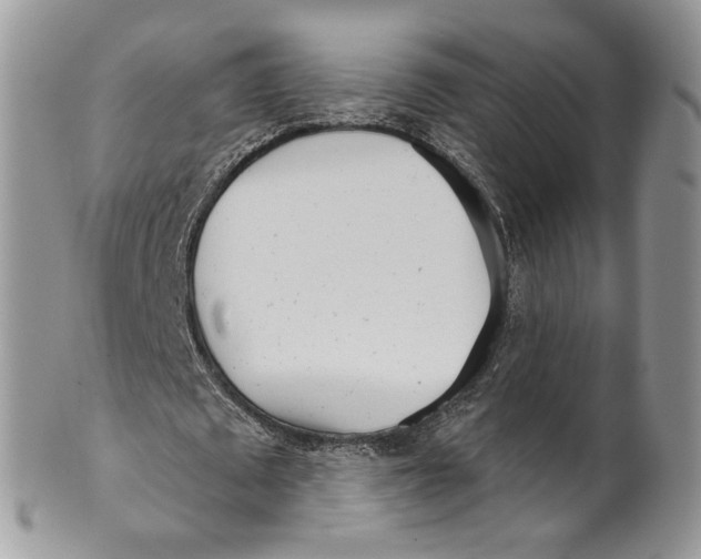 X0000099960673200806131511