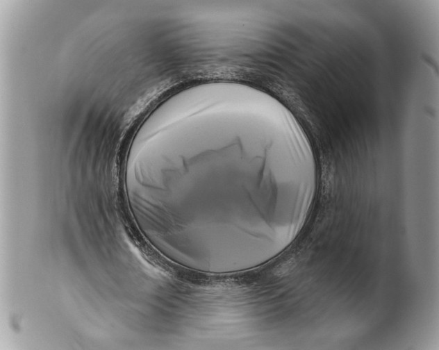 X0000099960674200806131511