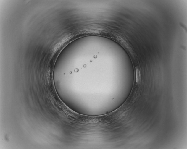 X0000099960675200806131511