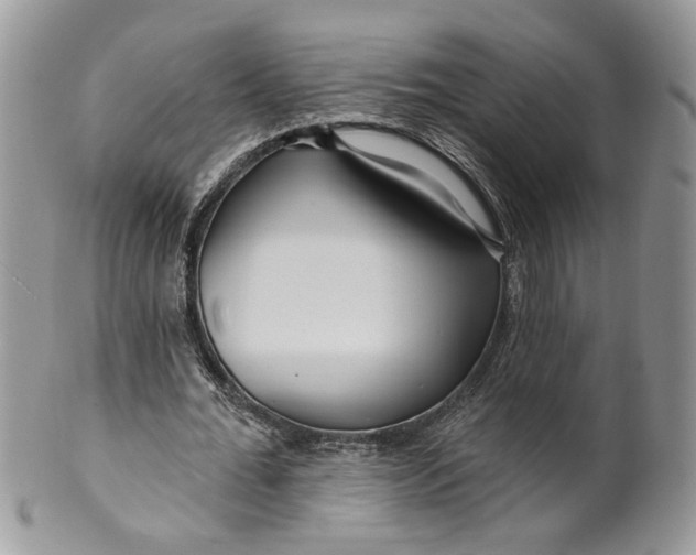 X0000099960676200806131511