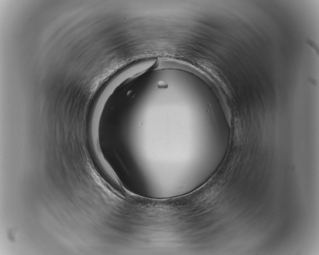 X0000099960677200806131511