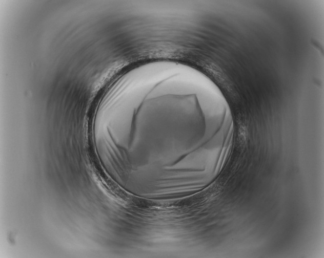 X0000099960678200806131511