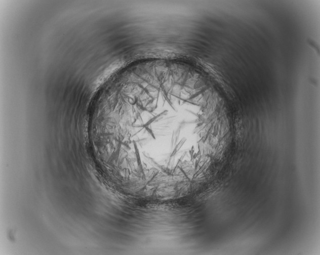 X0000099960679200806131511