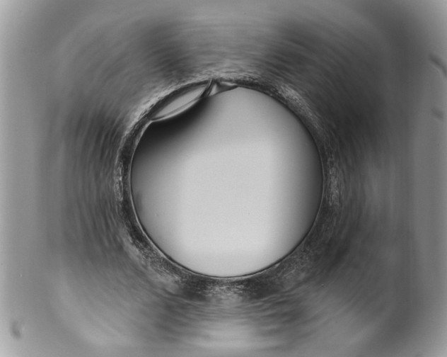 X0000099960680200806131511