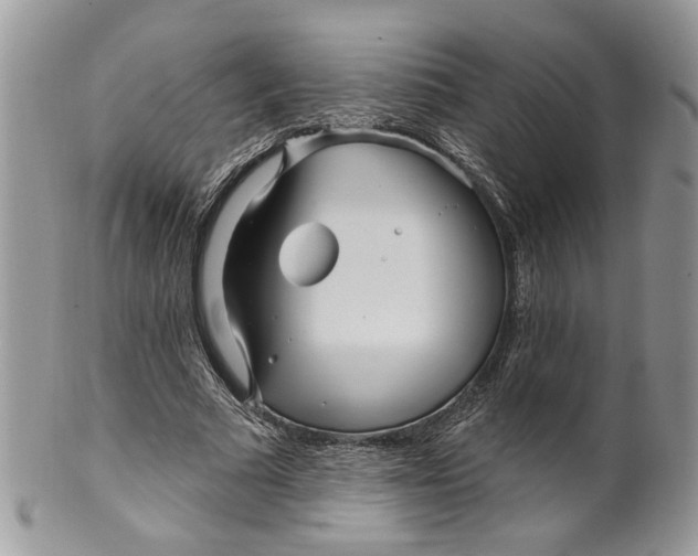 X0000099960681200806131511