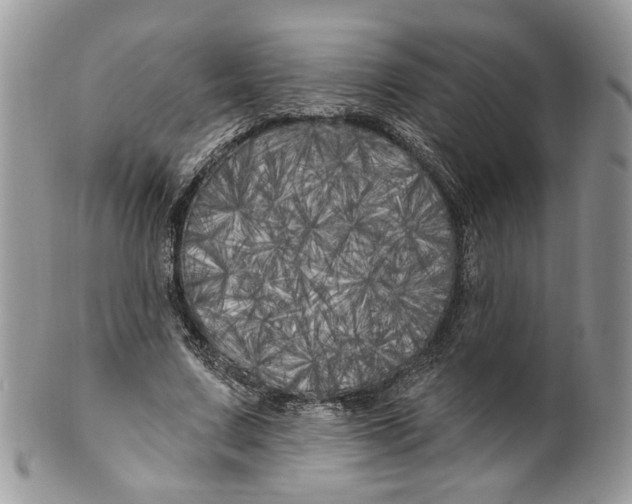 X0000099960683200806131511