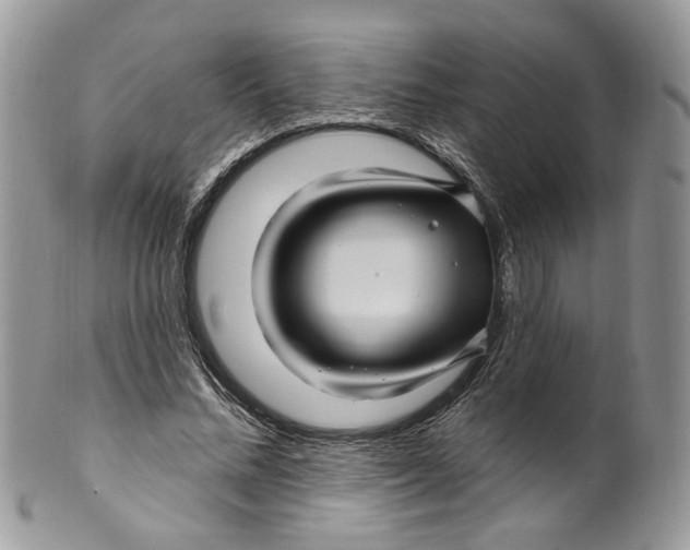 X0000099960684200806131511