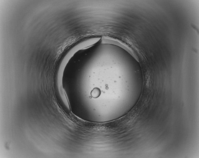 X0000099960685200806131511