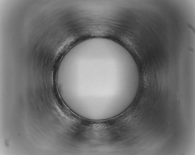 X0000099960686200806131511