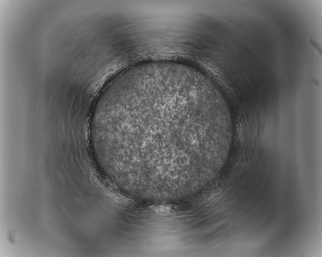 X0000099960687200806131511