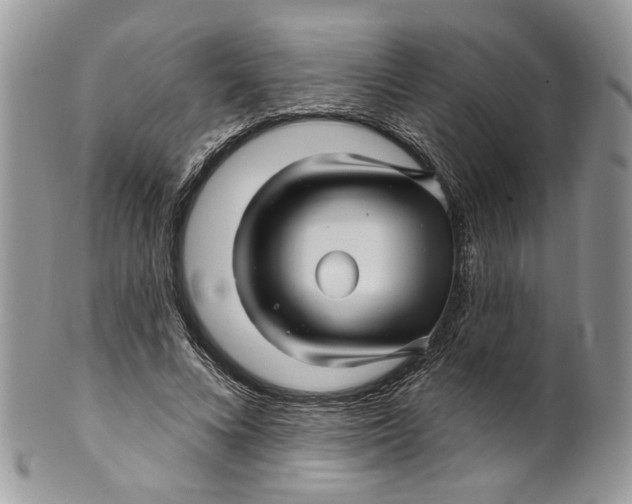 X0000099960688200806131511