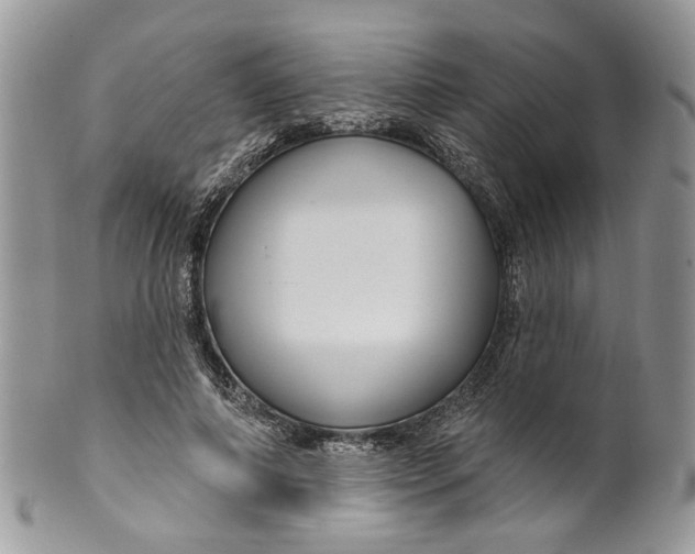 X0000099960690200806131510