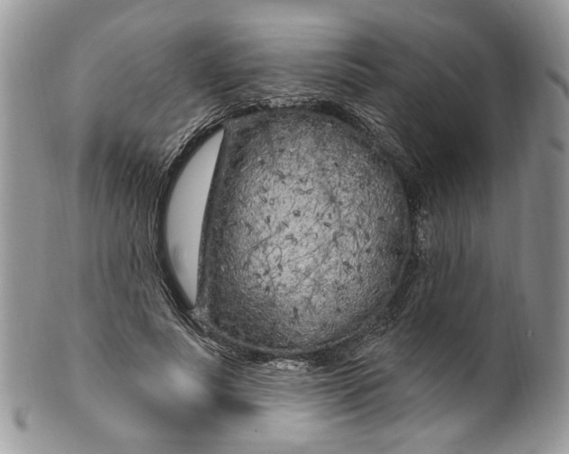 X0000099960691200806131510