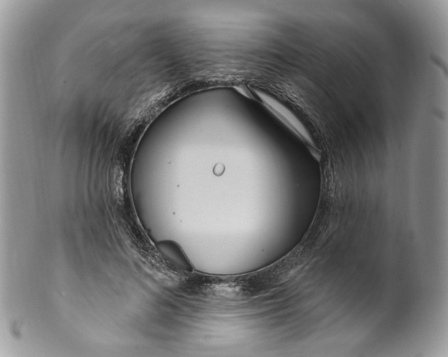 X0000099960692200806131510