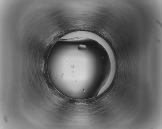 X0000099960693200806131510