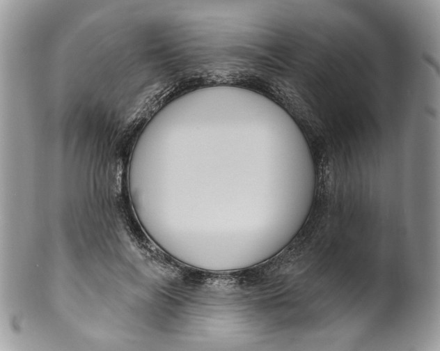 X0000099960694200806131510