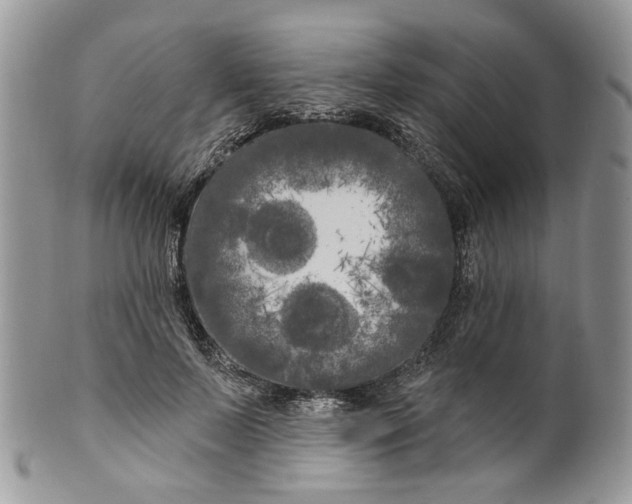 X0000099960695200806131510