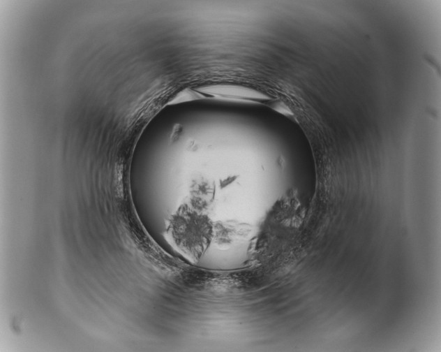 X0000099960696200806131510