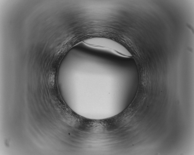 X0000099960697200806131510