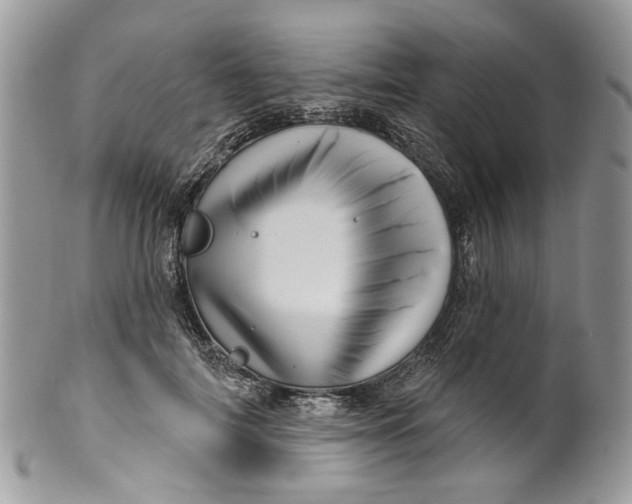 X0000099960698200806131510