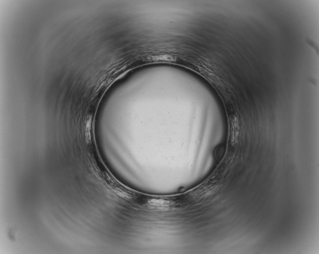 X0000099960699200806131510