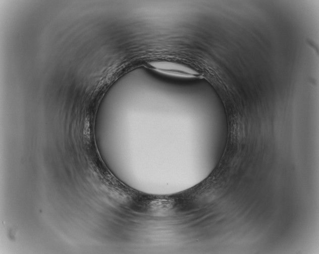 X0000099960700200806131510