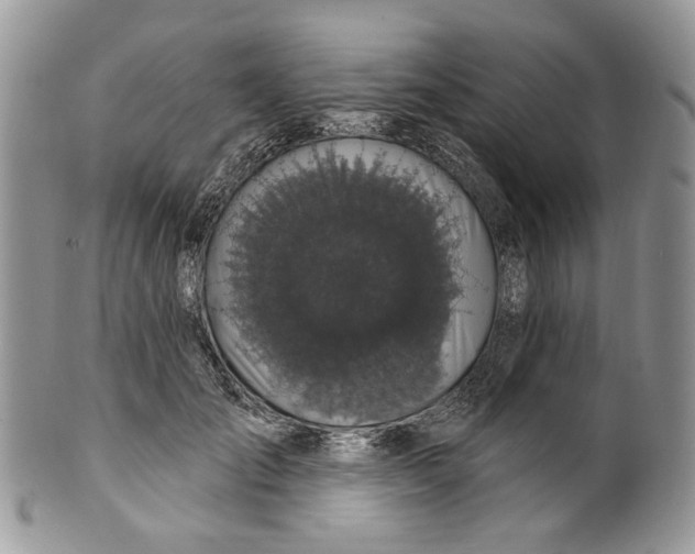 X0000099960701200806131510