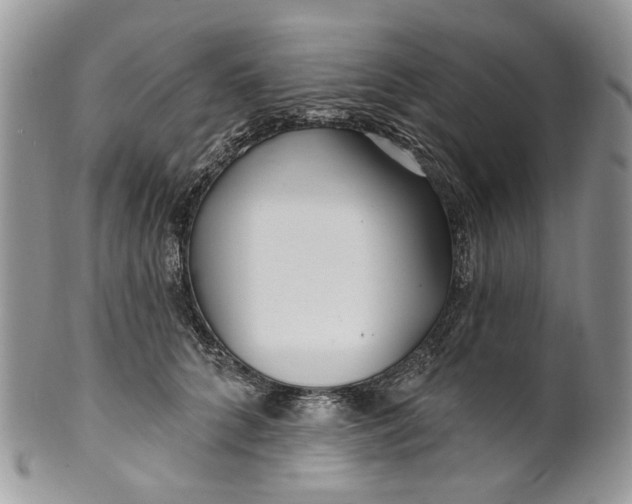 X0000099960704200806131510