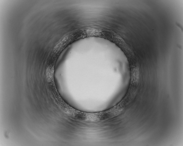 X0000099960705200806131510