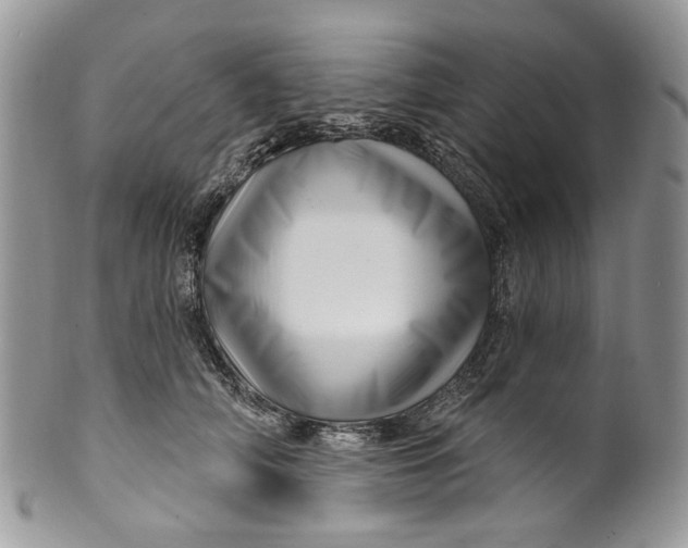 X0000099960706200806131510