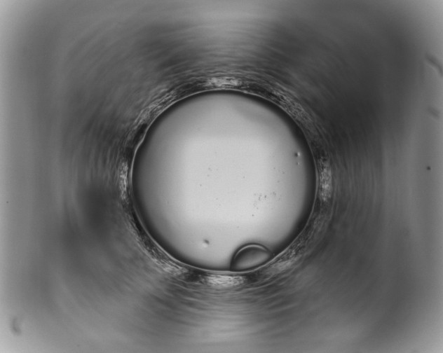 X0000099960707200806131510