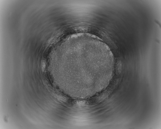 X0000099960709200806131510