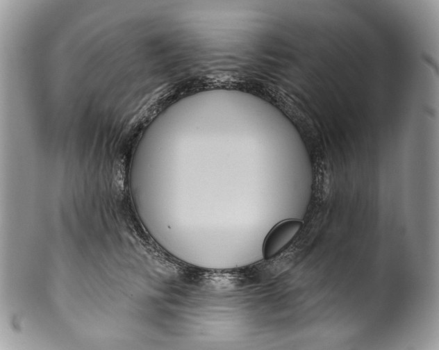 X0000099960710200806131510