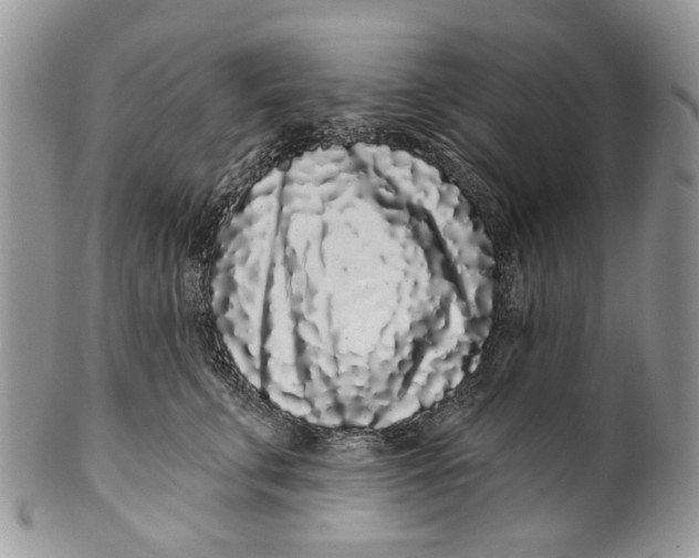 X0000099960711200806131510