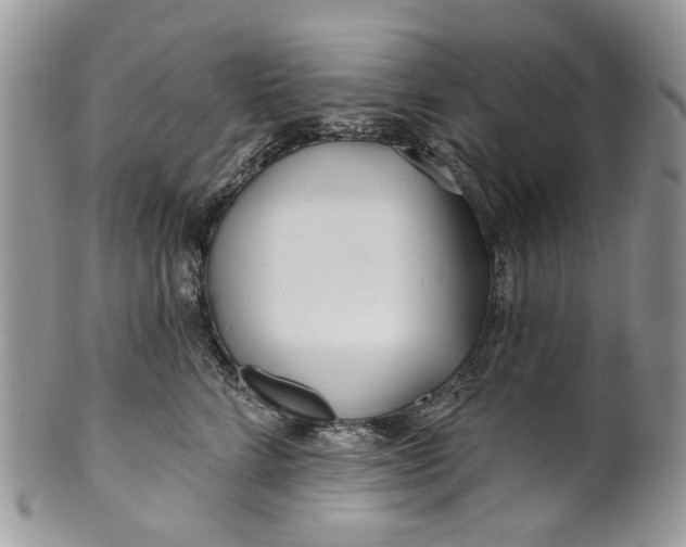 X0000099960712200806131510