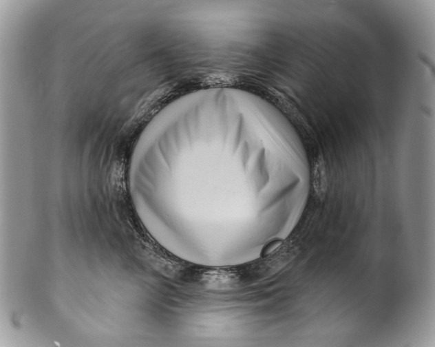 X0000099960714200806131510