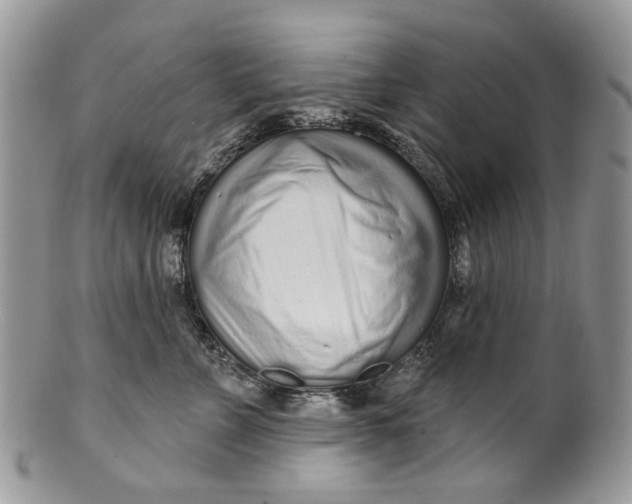 X0000099960715200806131510