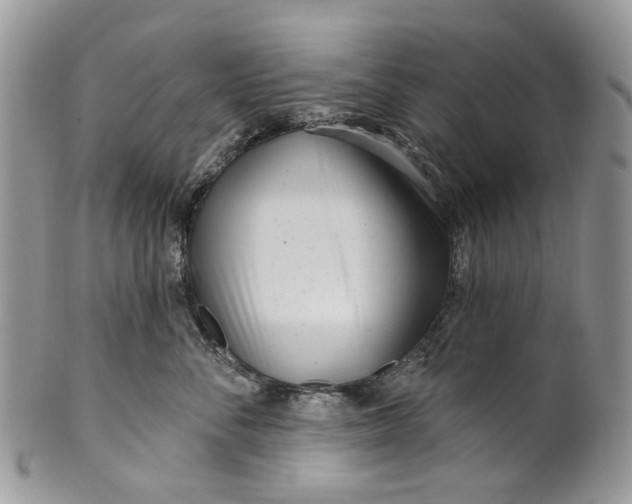 X0000099960716200806131510