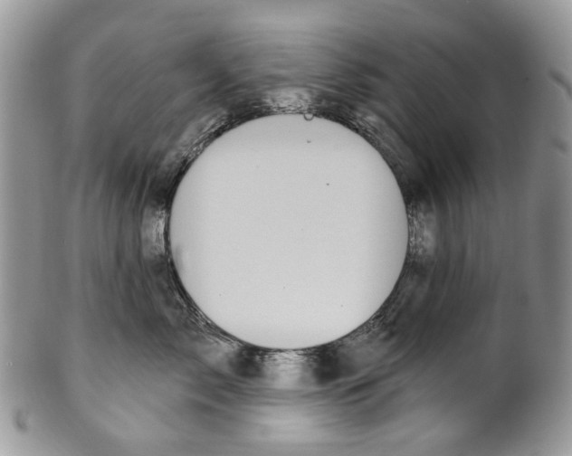 X0000099960717200806131510