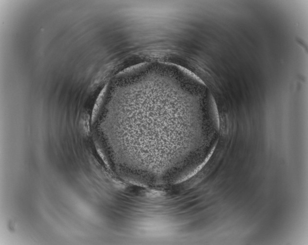 X0000099960718200806131510