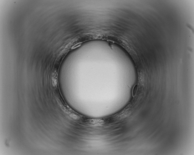 X0000099960719200806131510