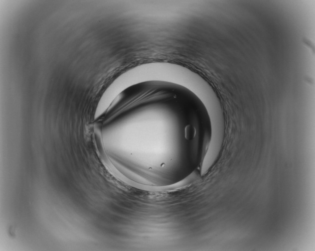 X0000099960720200806131510