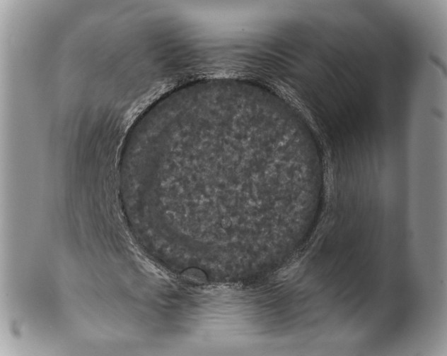 X0000099960721200806131509