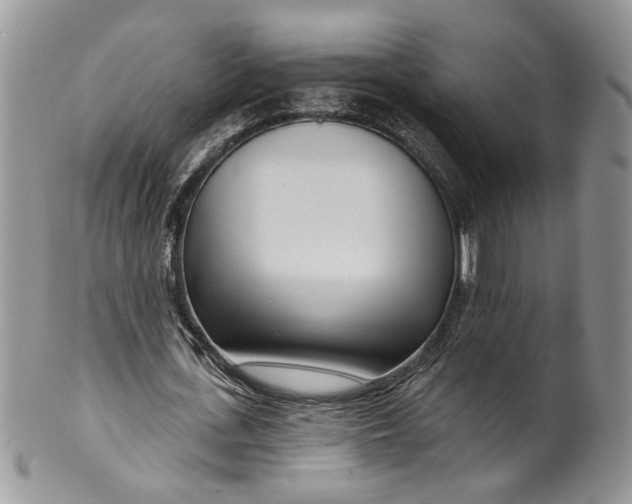 X0000099960723200806131509