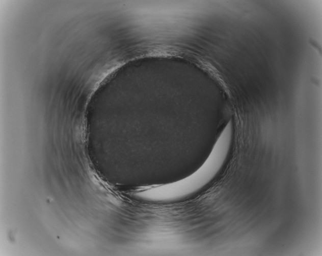 X0000099960724200806131509