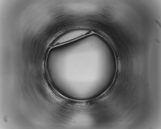 X0000099960725200806131509