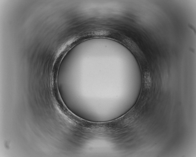 X0000099960726200806131509